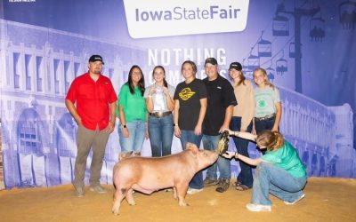 Reserve Champion Tamworth Barrow – 2024 Iowa State Fair 4-H Show