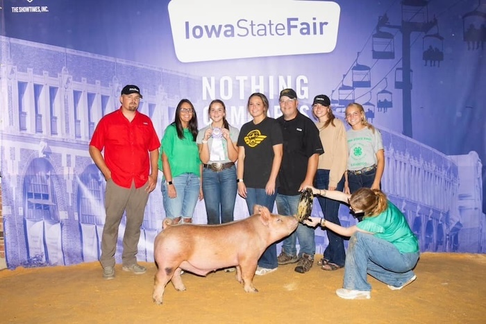 Reserve Champion Tamworth Barrow – 2024 Iowa State Fair 4-H Show