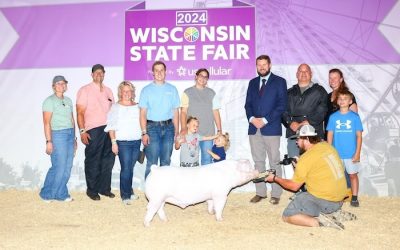 Champion Landrace Barrow – 2024 Wisconsin State Fair