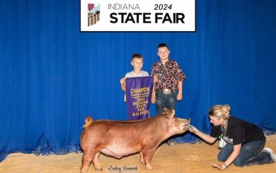 Champion Tamworth Barrow – 2024 Indiana State Fair Jr Show