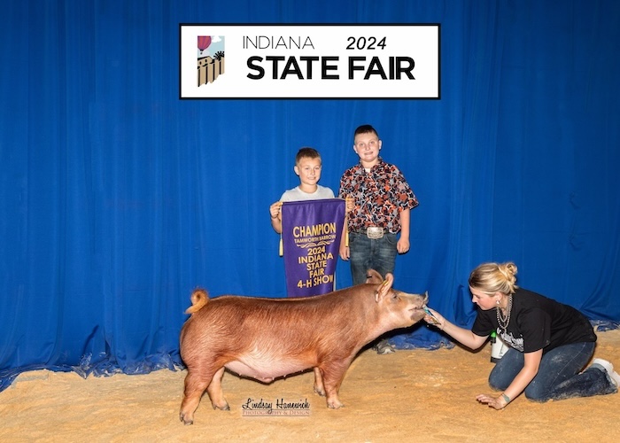 Champion Tamworth Barrow – 2024 Indiana State Fair Jr Show