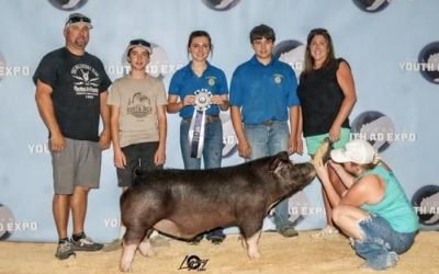 Reserve Champion Poland Barrow – 2024 California State Fair