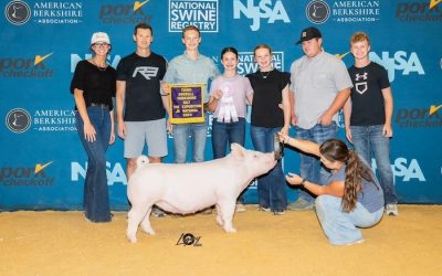 3rd Overall Yorkshire Gilt – 2024 The Exposition