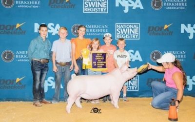 5th Overall Landrace Gilt – 2024 The Exposition