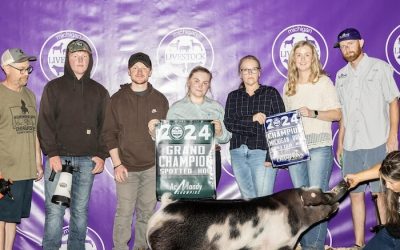 Champion Spot Market Hog – 2024 Michigan Livestock Expo