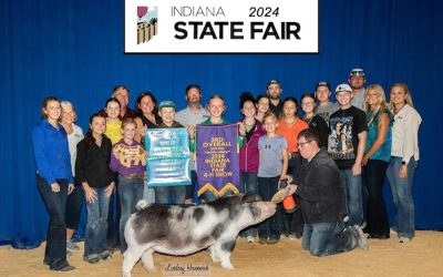 3rd Overall Spot Gilt – 2024 Indiana State Fair Jr Show