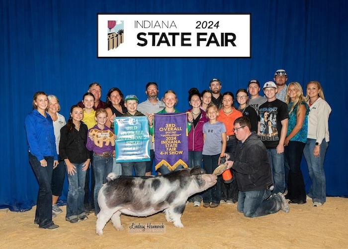 3rd Overall Spot Gilt – 2024 Indiana State Fair Jr Show