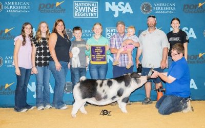 5th Overall Spot Gilt – 2024 The Exposition