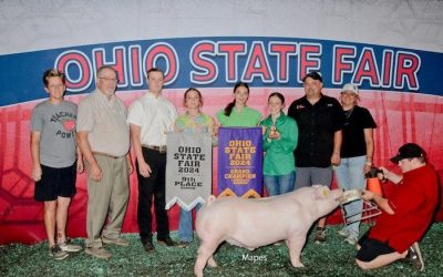 9th Overall Barrow & Champion Landrace – 2024 Ohio State Fair Open Show