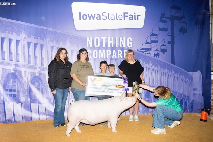 Champion Landrace Barrow – 2024 Iowa State Fair 4-H Show