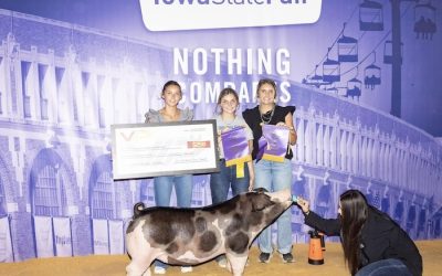 Champion Spot Gilt – 2024 Iowa State Fair FFA Show