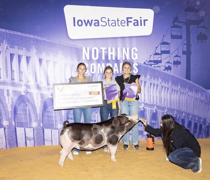 Champion Spot Gilt – 2024 Iowa State Fair FFA Show