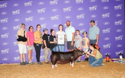 3rd Overall Berkshire Gilt – 2024 Tulsa State Fair