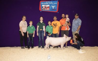 5th Overall Yorkshire Barrow – 2024 Oklahoma State Fair