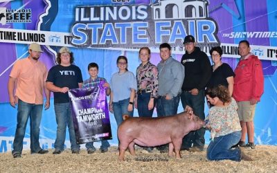 Champion Tamworth Gilt – 2024 Illinois State Fair Jr Show