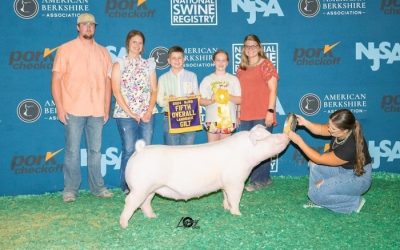 5th Overall Landrace Gilt  – 2024 NJSS