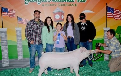 Champion AOB Barrow – 2024 Georgia National Fair