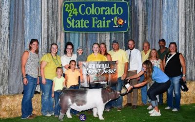 4th Overall Market Hog & Reserve Light Crossbred – 2024 Colorado State Fair