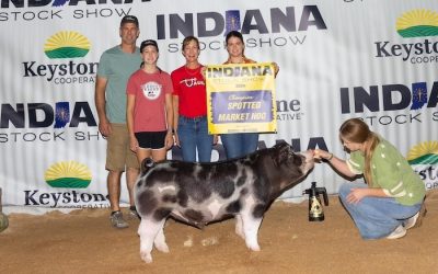 Champion Spot Barrow – 2024 Indiana Stock Show Show