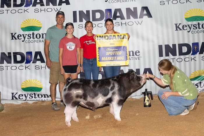 Champion Spot Barrow – 2024 Indiana Stock Show Show
