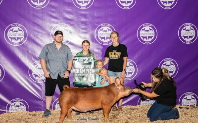 Reserve Champion Tamworth Market Hog  – 2024 Michigan Livestock Expo