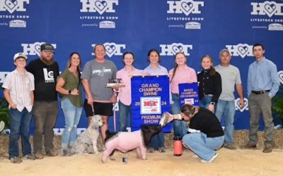 Grand Overall Barrow & Champion Crossbred – 2024 Heart of Texas Livestock Show