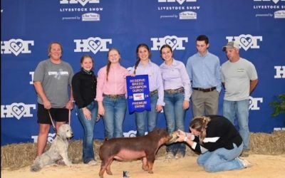 Reserve Champion Duroc Gilt – 2024 Heart of Texas Livestock Show