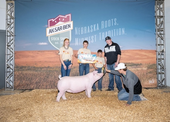 Champion Chester Gilt – 2024 Aksarben