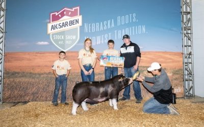 Reserve Champion Poland Gilt – 2024 Aksarben