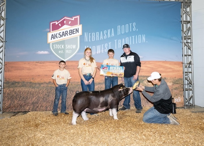 Reserve Champion Poland Gilt – 2024 Aksarben