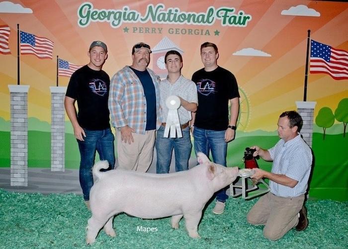 3rd Overall Yorkshire Gilt – 2024 Georgia National Fair