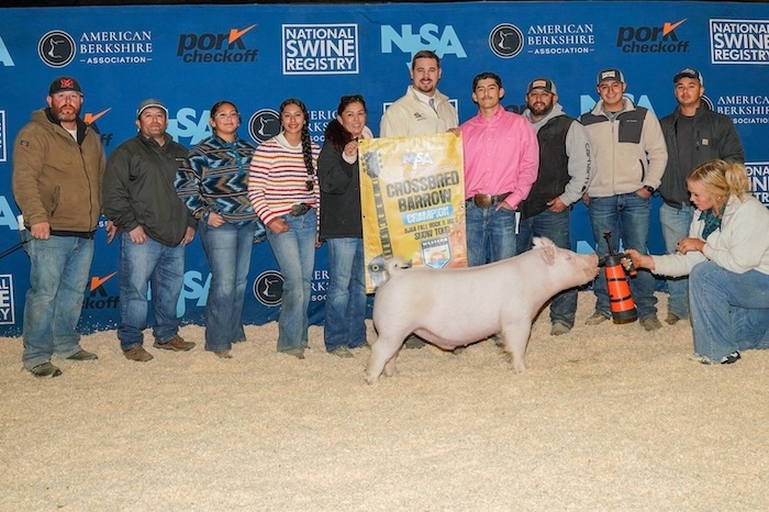 Champion Purebred Influence Barrow – 2024 NJSA Western Regional