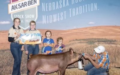 Champion Tamworth Gilt – 2024 Aksarben