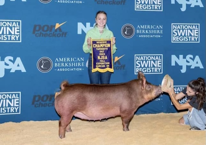 Reserve Champion Tamworth Gilt – 2024 NJSA Fall Exposition
