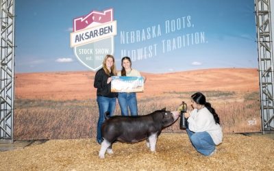 Champion Poland Gilt – 2024 Aksarben