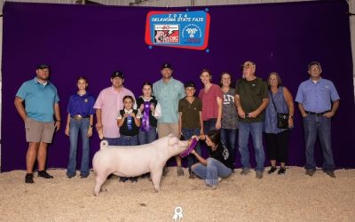 Champion Chester Gilt – 2024 Oklahoma State Fair