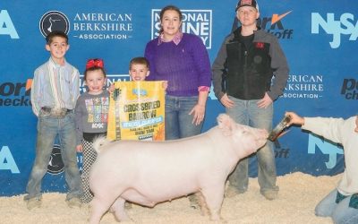 Reserve Champion Purebred Influence Barrow – 2024 NJSA Western Regional
