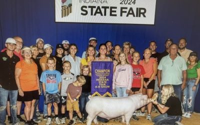 Champion Landrace Barrow – 2024 Indiana State Fair Jr Show