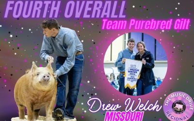 4th Overall TP Gilt & Reserve Champion Tamworth – 2024 TP Music City Drive