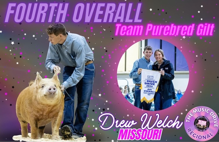 4th Overall TP Gilt & Reserve Champion Tamworth – 2024 TP Music City Drive