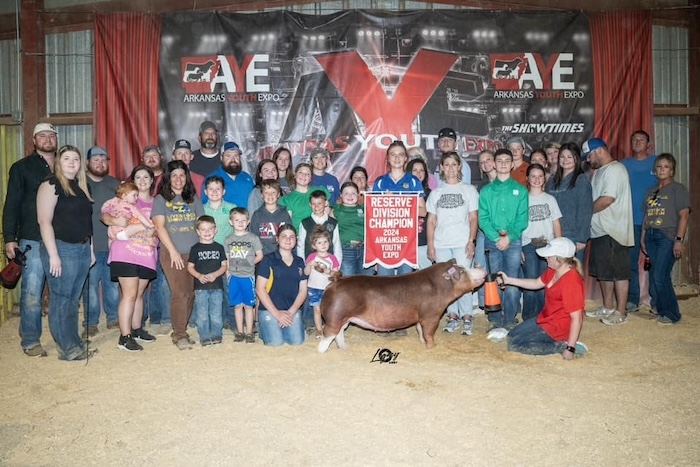 Reserve Champion Hereford Gilt – 2024 Arkansas Youth Expo