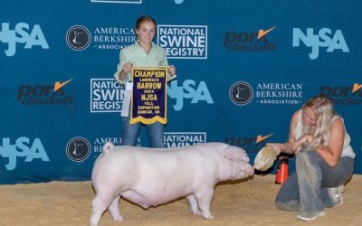 Champion Landrace Barrow – 2024 NJSA Fall Exposition