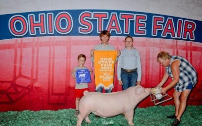 5th Overall Landrace Barrow – 2024 Ohio State Fair Jr Show