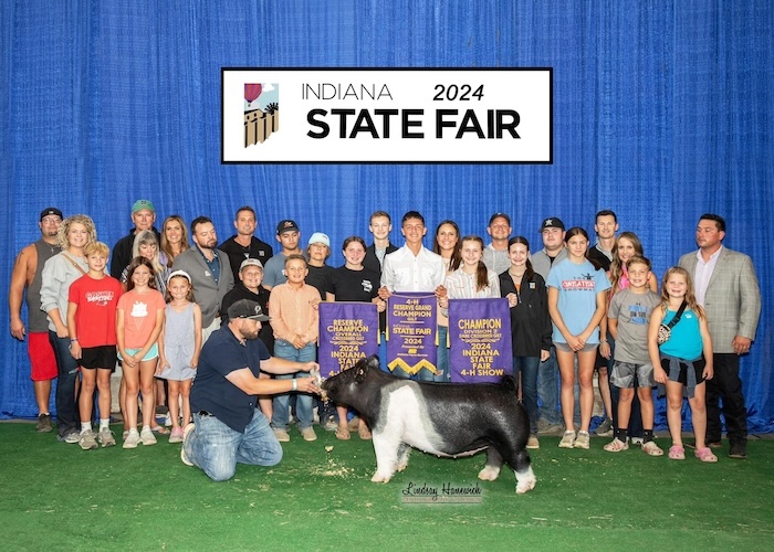 Reserve Overall Gilt & Reserve Crossbred – 2024 Indiana State Fair Jr Show