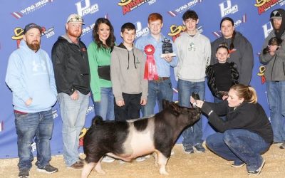 Reserve Champion Division 1 Other Cross – 2025 San Antonio Stock Show