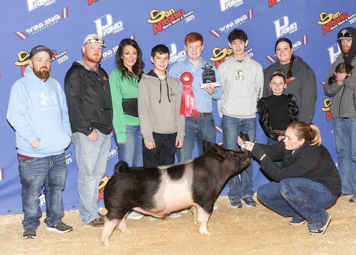 Reserve Champion Division 1 Other Cross – 2025 San Antonio Stock Show