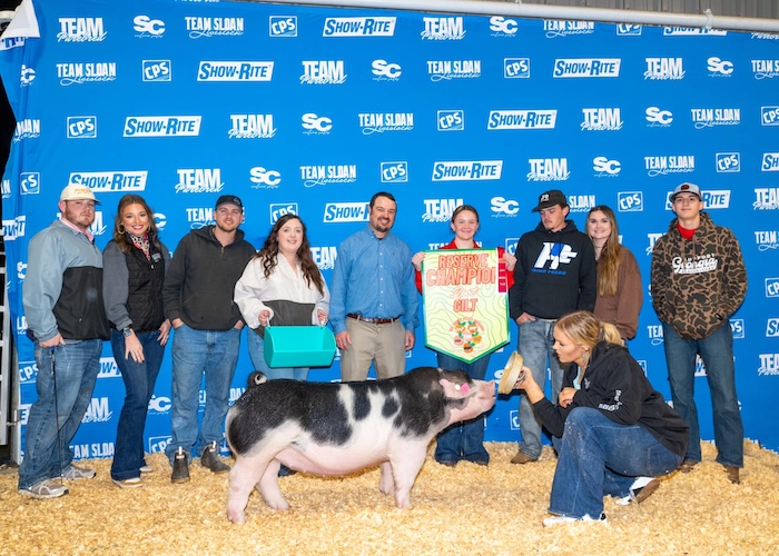 4th Overall TP Gilt & Reserve Champion Spot – 2025 TP Sweet Peach Regional