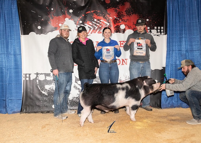 Champion Purebred Barrow – 2025 Georgia National Fair GA Bred Show