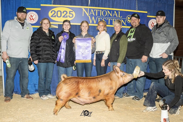 Champion AOB Market Hog – 2025 National Western Stock Show