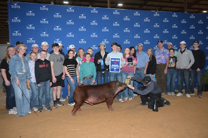 Reserve Champion Duroc Barrow – 2025 Rodeo Austin
